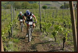 09/05/2010 Mango (CN). 15° giro delle colline del moscato. 3° prova Campionato provinciale Cuneo mtb 2010, UDACE